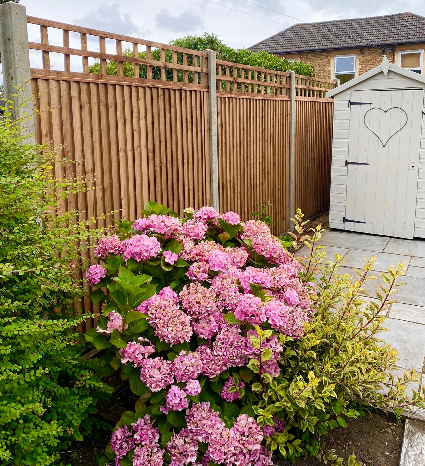 photo for about us page